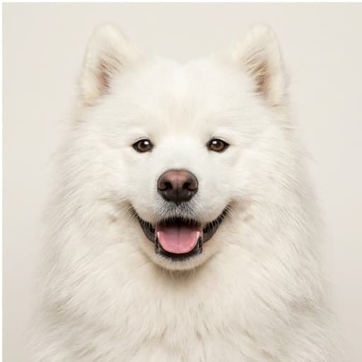Luna, 2 yrs